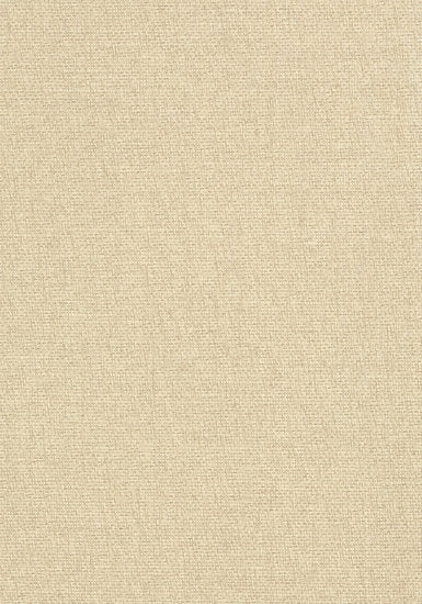 Thibaut Adriatic Behang - Grasscloth Resource Volume 3 collectie T41126