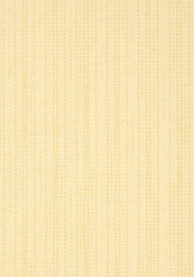 Thibaut Santa Barbara Behang - Grasscloth Resource Volume 3 collectie T41103