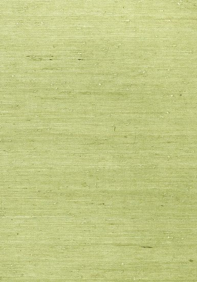 Thibaut Maranta Arrowroot Behang - Greenwood Behang Collectie T85012