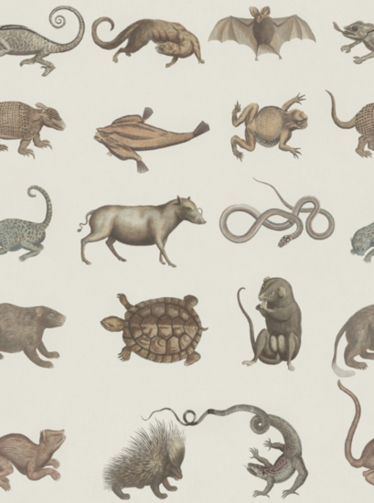 Mind the Gap Seba's Ark Behang WP20001