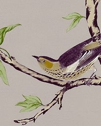 Villa Fiori behang gaston y daniela luxury by nature 2