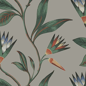 Anna French Cleo Vine Behang Savoy AT9616 - LAB COLOUR THE WORLD