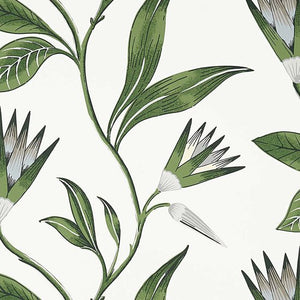 Anna French Cleo Vine Behang Savoy AT9622 - LAB COLOUR THE WORLD
