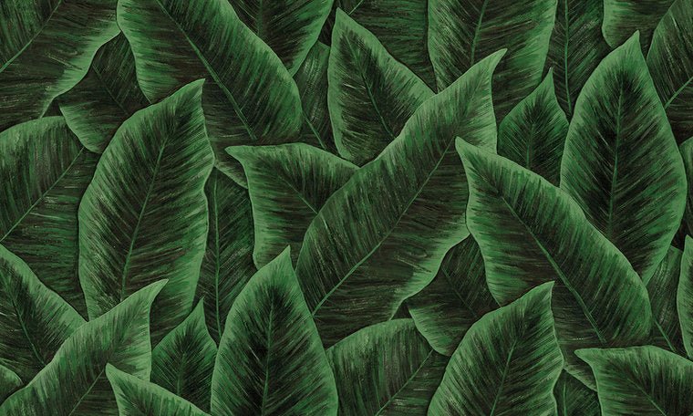 ARTE Bird of Paradise Behang Emerald 97572 - LAB COLOUR THE WORLD