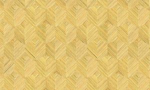 ARTE Geometrisch Behang Insignia 80554 - LAB COLOUR THE WORLD