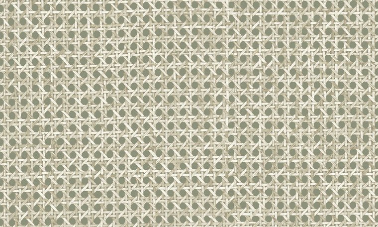 ARTE Le Rotin Behang Pistache 60515 - LAB COLOUR THE WORLD