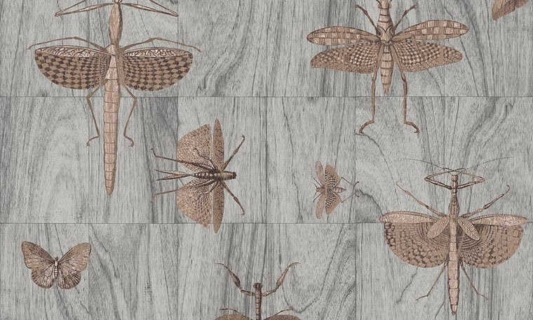 ARTE Wings Behang 42000 - LAB COLOUR THE WORLD