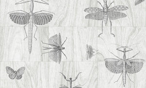 ARTE Wings Behang 42001 - LAB COLOUR THE WORLD