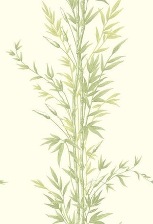Cole & Son Archive Anthology Bamboo behang 100/5023 - LAB COLOUR THE WORLD