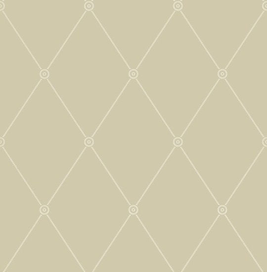 Cole & Son Archive Anthology Large Georgian Rope Trellis behang 100/13065 - LAB COLOUR THE WORLD