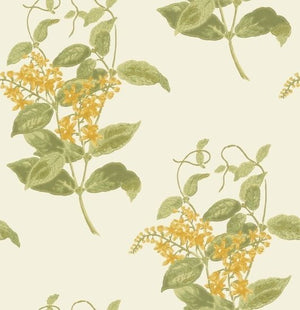 Cole & Son Archive Anthology Madras Violet behang 100/12059 - LAB COLOUR THE WORLD