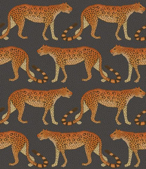 Cole & Son Ardmore Collection Leopard Walk behang 109/2008 - LAB COLOUR THE WORLD