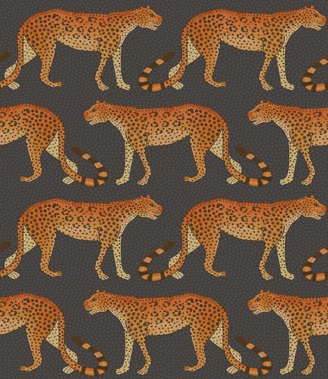 Cole & Son Ardmore Collection Leopard Walk behang 109/2008 - LAB COLOUR THE WORLD