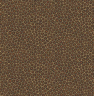 Cole & Son Ardmore Collection Senzo Spot behang 109/6028 - LAB COLOUR THE WORLD