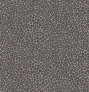Cole & Son Ardmore Collection Senzo Spot behang 109/6031 - LAB COLOUR THE WORLD