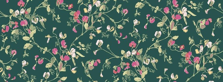 Cole & Son Botanical ~Botanica~ Sweet Pea behang 115/11033 - LAB COLOUR THE WORLD