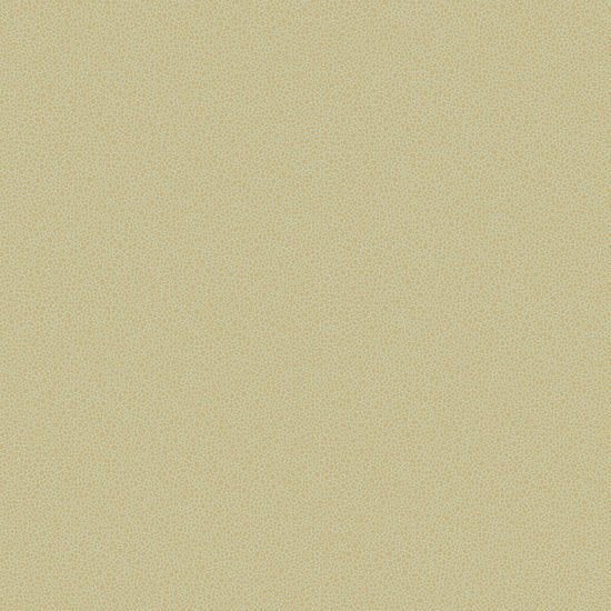 Cole & Son Curio Goldstone behang 107/9041 - LAB COLOUR THE WORLD