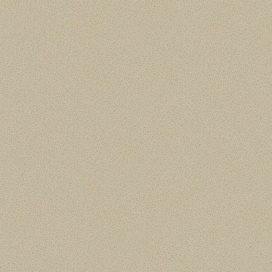 Cole & Son Curio Goldstone behang 107/9042 - LAB COLOUR THE WORLD