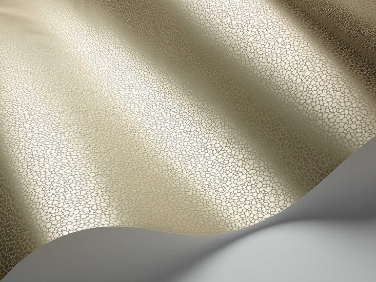 Cole & Son Curio Goldstone behang 107/9042 - LAB COLOUR THE WORLD