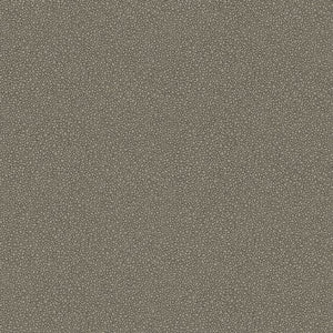 Cole & Son Curio Goldstone behang 107/9043 - LAB COLOUR THE WORLD