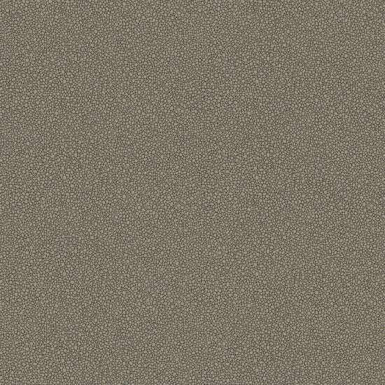 Cole & Son Curio Goldstone behang 107/9043 - LAB COLOUR THE WORLD