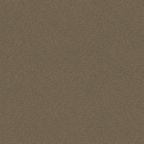 Cole & Son Curio Goldstone behang 107/9044 - LAB COLOUR THE WORLD