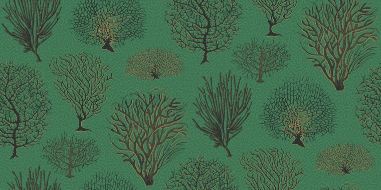 Cole & Son Curio Seafern behang 107/2007 - LAB COLOUR THE WORLD