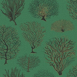 Cole & Son Curio Seafern behang 107/2007 - LAB COLOUR THE WORLD