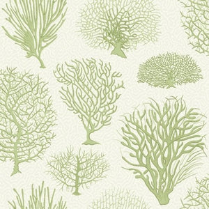 Cole & Son Curio Seafern behang 107/2008 - LAB COLOUR THE WORLD