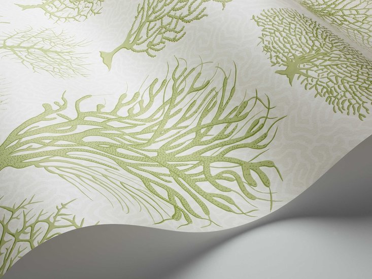 Cole & Son Curio Seafern behang 107/2008 - LAB COLOUR THE WORLD