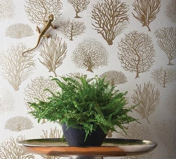 Cole & Son Curio Seafern behang 107/2010 - LAB COLOUR THE WORLD