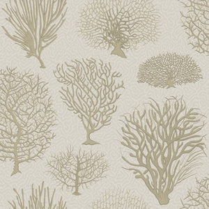 Cole & Son Curio Seafern behang 107/2010 - LAB COLOUR THE WORLD