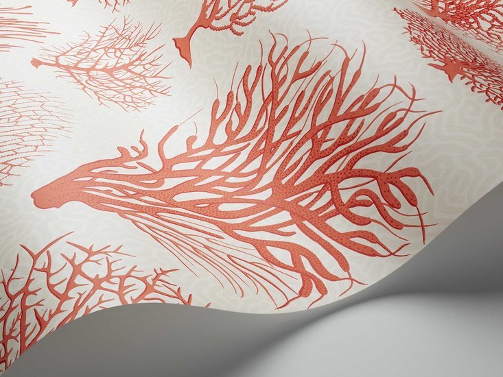 Cole & Son Curio Seafern behang 107/2011 - LAB COLOUR THE WORLD