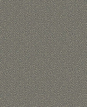Cole & Son Curio Vermicelli behang 107/4017 - LAB COLOUR THE WORLD