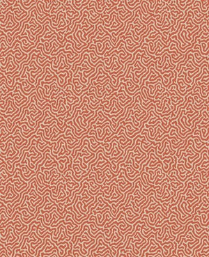 Cole & Son Curio Vermicelli behang 107/4018 - LAB COLOUR THE WORLD