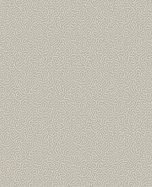 Cole & Son Curio Vermicelli behang 107/4019 - LAB COLOUR THE WORLD