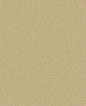 Cole & Son Curio Vermicelli behang 107/4021 - LAB COLOUR THE WORLD