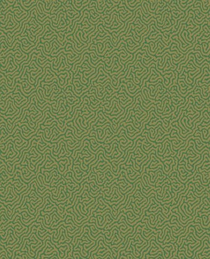 Cole & Son Curio Vermicelli behang 107/4022 - LAB COLOUR THE WORLD