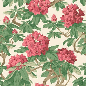 Cole & Son Folie Bourlie behang 99/4019 - LAB COLOUR THE WORLD