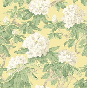 Cole & Son Folie Bourlie behang 99/4021 - LAB COLOUR THE WORLD