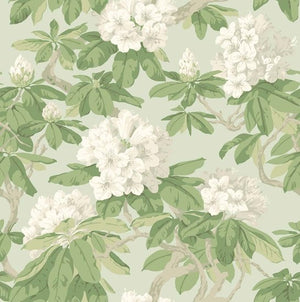 Cole & Son Folie Bourlie behang 99/4022 - LAB COLOUR THE WORLD