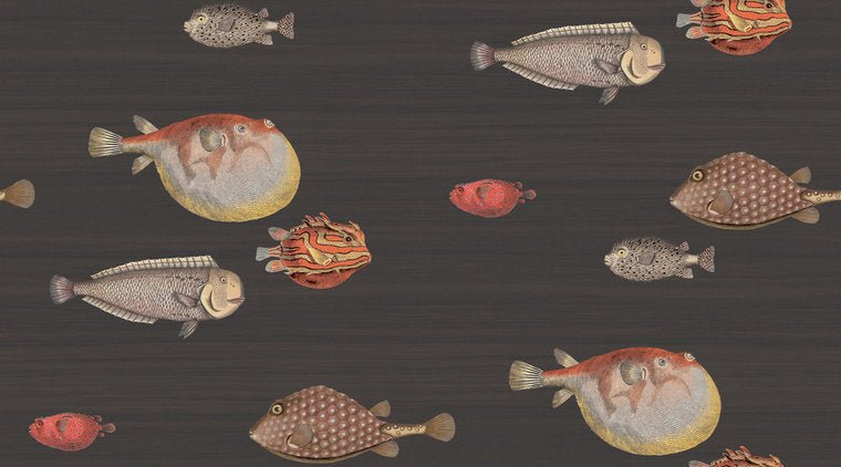Cole & Son Fornasetti Selection Acquario behang 97/10048 - LAB COLOUR THE WORLD