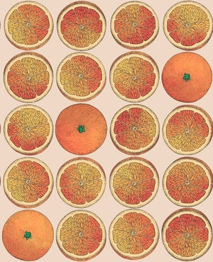 Cole & Son Fornasetti Selection Arance behang 114/24047 - LAB COLOUR THE WORLD
