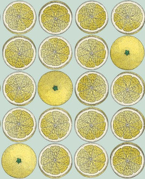 Cole & Son Fornasetti Selection Arance behang 114/24048 - LAB COLOUR THE WORLD