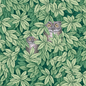 Cole & Son Fornasetti Senza Tempo II Foglie e Civette behang 123/11054 - LAB COLOUR THE WORLD
