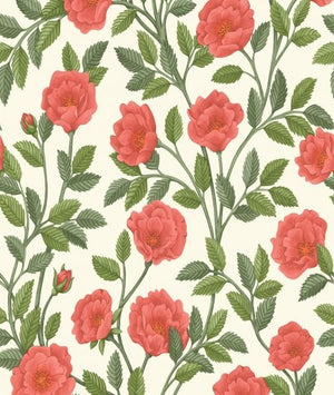 Cole & Son Historic Royal Palaces – Great Masters Hampton Roses behang 118/7013 - LAB COLOUR THE WORLD