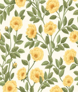 Cole & Son Historic Royal Palaces – Great Masters Hampton Roses behang 118/7015 - LAB COLOUR THE WORLD