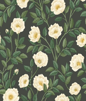 Cole & Son Historic Royal Palaces – Great Masters Hampton Roses behang 118/7016 - LAB COLOUR THE WORLD