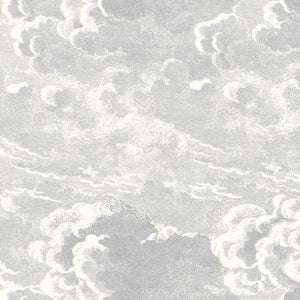 Cole & Son Nuvolette behang 114/28055 - LAB COLOUR THE WORLD