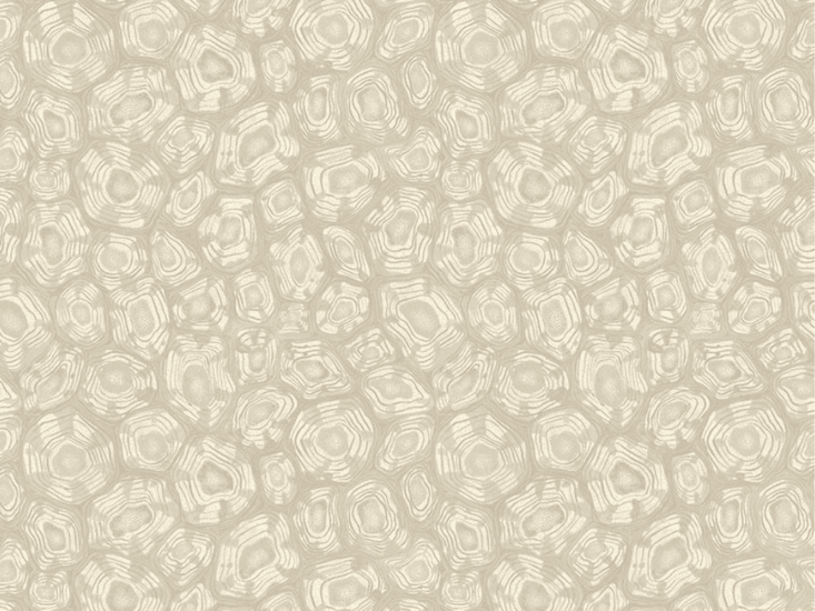 Cole & Son Savanna Shell Behang 119/4021 - LAB COLOUR THE WORLD